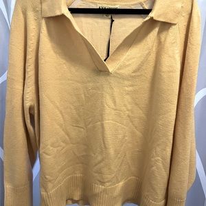 Ava and Vic pull over v neck collared sweater tan color brand new with tags